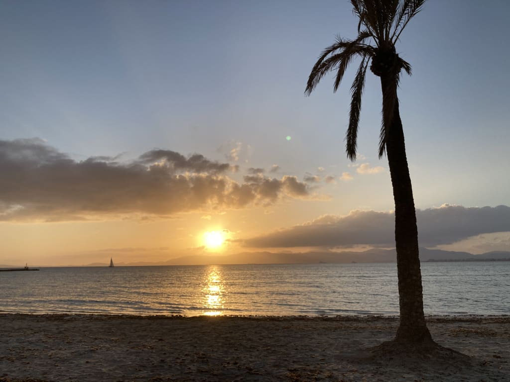 Reisen-Lebenshaltungskosten-Mallorca